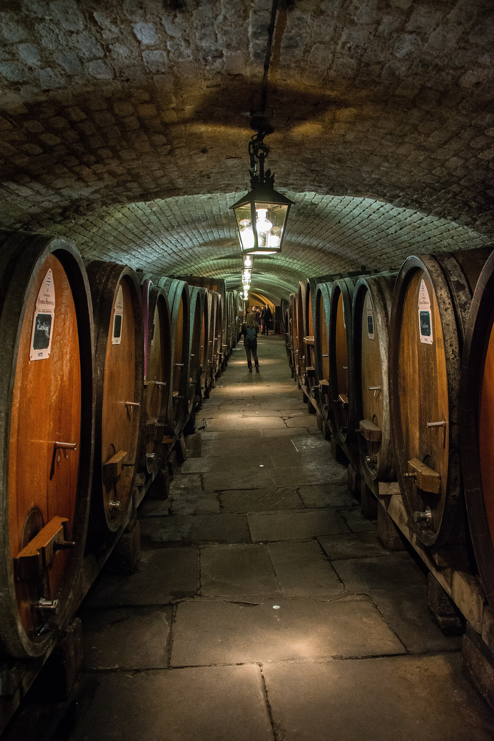 Cava de vino con botellas cuidadosamente ordenadas